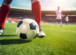 森林狼逆境,翻盘,班凯罗孤军,星空体育下载官网,星空体育下载,星空体育直播,星空体育娱乐,星空体育平台