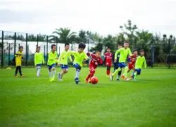 泰山球迷狂,躁抛物遭警,方逮捕,星空体育下载官网,星空体育下载,星空体育直播,星空体育娱乐,星空体育平台