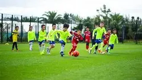 泰山球迷狂躁抛物遭警方逮捕